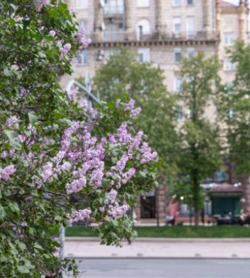 Травень готує аномальну погоду: чого чекати від прогнозу