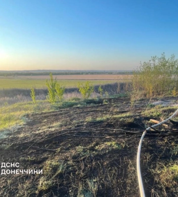 На Донеччині за тиждень згоріло понад 150 гектарів сухостою — ДСНС