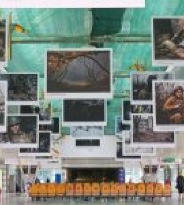 У Києві відкрилася фотовиставка «Перша лінія», присвячена українській піхоті