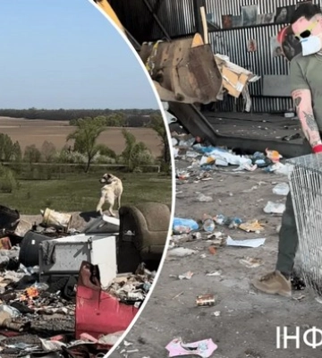 Собаче пекло на землі: під Борисполем спалахнув скандал навколо Глибоцького сміттєзвалища, де мешкає понад 200 тварин