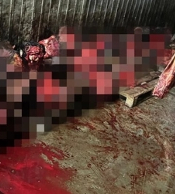 Забруднення землі відходами бійні  – на Волині повідомлено про підозру членам організованої групи (Фото)