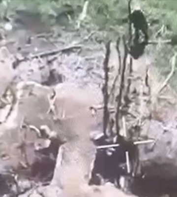 На Донеччині окупанти розстріляли трьох полонених військових ЗСУ
