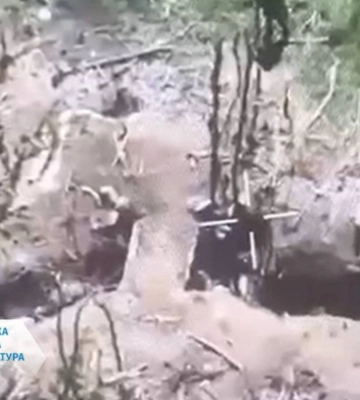 Окупанти стратили трьох українських захисників після здачі в полон – розпочато розслідування