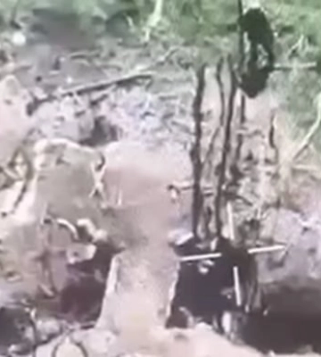 Окупанти розстріляли трьох полонених воїнів ЗСУ на Донеччині