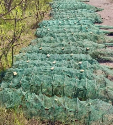 На Одещині затримали браконьєрів з уловом на три мільйони гривень