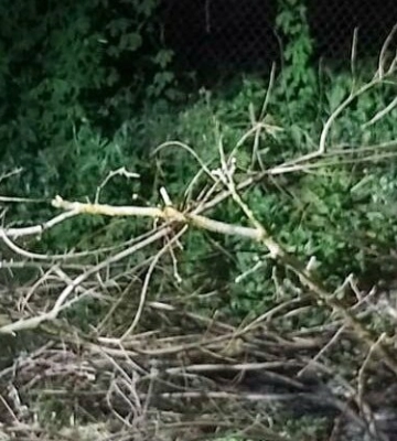 На Полтавщині поліція затримала підозрюваного в умисному вбивстві чоловіка