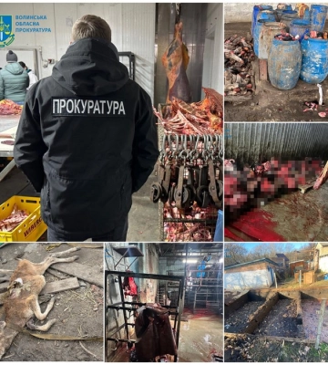 На Волині 15-річний мотоцикліст злетів з дороги