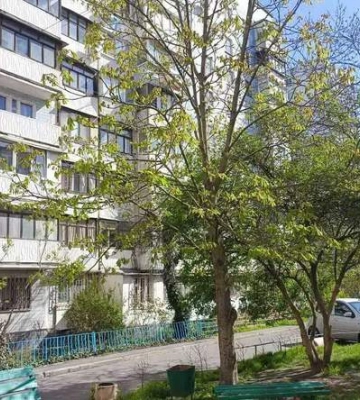 Душ і туалет поруч з ліжком: в Одесі продають однокімнатну квартиру всього за 7 тисяч доларів