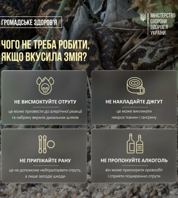 Гадюки вторглися на Дніпропетровщину: що небезпечно робити після укусу