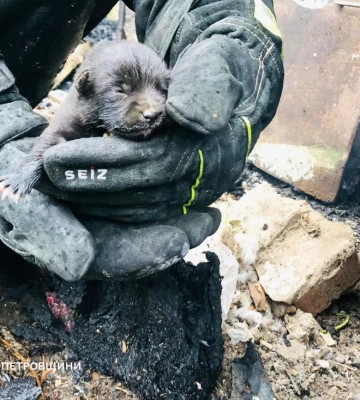 На Дніпропетровщині надзвичайники врятували маленьке життя