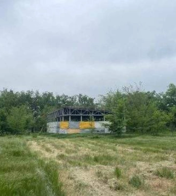 На Богоявленському — гігантська вирубка: 182 дерева під сокиру заради АЗС ОККО, АТБ і автомагазину