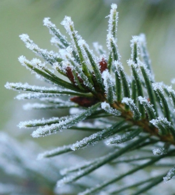 Мінус 0,6°﻿C: у Луцьку зафіксували рекордну мінімальну температуру