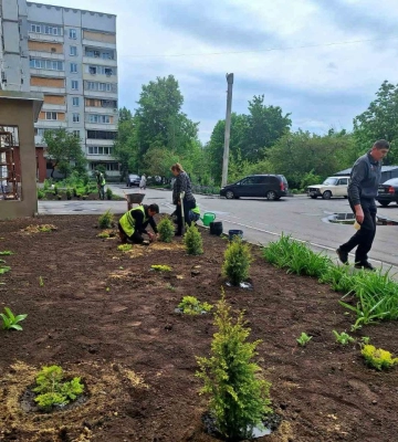 Клумби з хвойниками розбили на Північній Салтівці в Харкові 