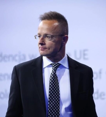 Суд відправив під варту на 60 діб одного з підозрюваних у шпигунській діяльності на користь Угорщини