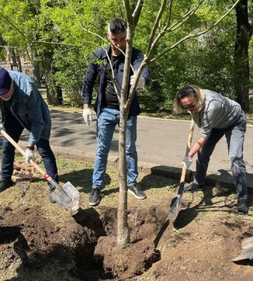 В Одесі висадили молоді софори