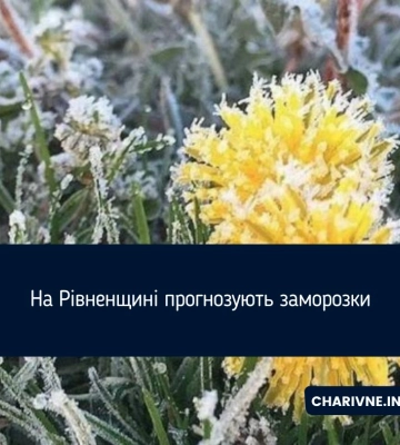 Заморозки в Житомирській області з 10 по 12 травня