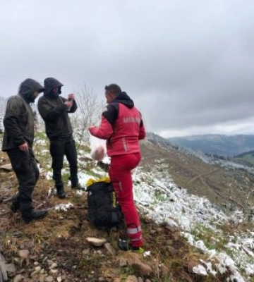 У румунських Карпатах рятувальники відшукали двох заблукалих та замерзаючих українців