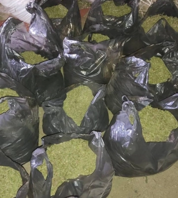 На Вінниччині засуджено зловмисника, в якого було вилучено 47 кілограмів канабісу, - поліція