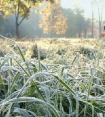 Вночі та вранці 11-12 травня в Луцьку та по області очікуються заморозки на поверхні ґрунту 0-5°