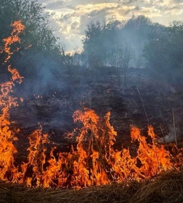 У Києві палають Совські ставки: вогонь охопив 800 квадратних метрів