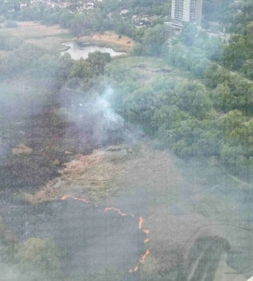 У Києві масштабна пожежа – горять Совські ставки