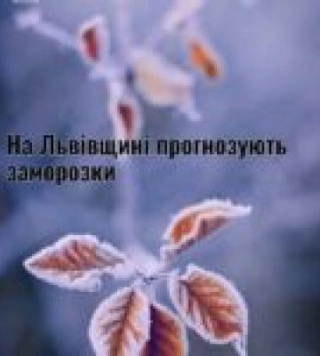 На Львівщині 11-13 травня прогнозують заморозки