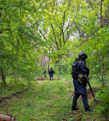 Що знаходять у найбільш грибних лісах Харківщини сапери (відео)