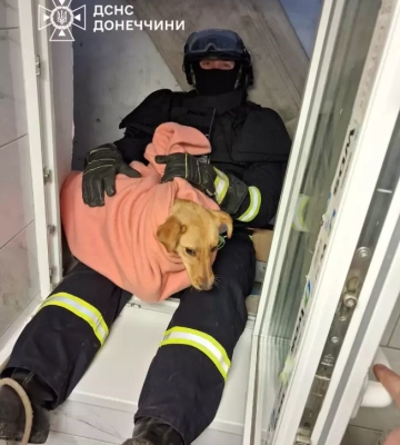 У Дружківці врятовно собаку, який не міг вибратися з глибокого підвалу, - ДСНС Донеччини