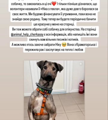 Черкащанка стала опікункою для песика з притулку: як це зробити іншим (ФОТО)