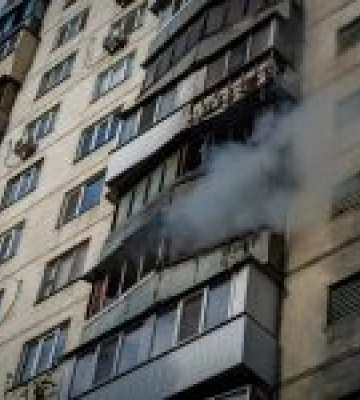 В Україні починається масова реєстрація домашніх тварин у ЦНАПах