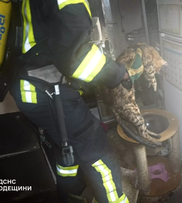 В Одесі рятувальники врятували котика під час пожежі