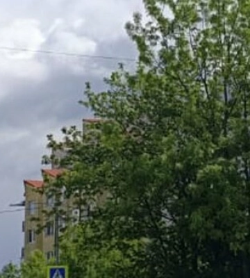 У Бродах жінка за кермом Nissan травмувала велосипедиста У Бродах жінка за кермом Nissan травмувала велосипедиста