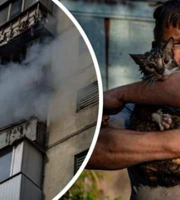 У Києві пожежники дістали з вогню кота та собаку: ДСНС показала порятунок домашніх улюбленців