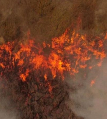 На Дніпропетровщині оголосили пожежну небезпеку надзвичайного рівня