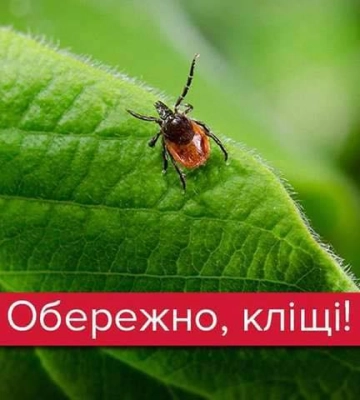 Захистіть себе від кліщів