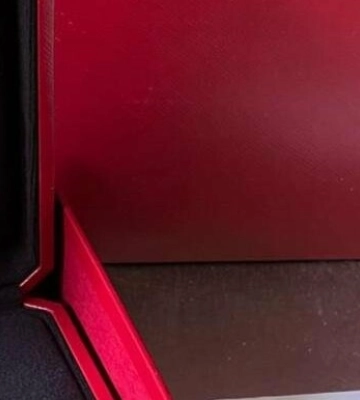 MacBook, Cartier, Louis Vuitton: на Львівщині митники виявили "елітні" контрабандні товари