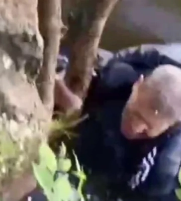 У Дніпрі підлітки знімали на відео чоловіка, поки той тонув у водоймі. Допомогу не покликали
