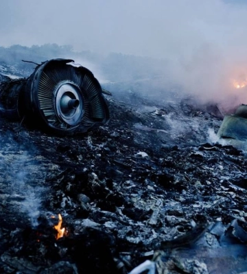 Справа MH17: Рада ICAO визнала Росію винною у збитті літака