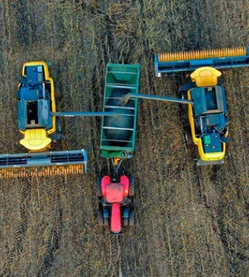 USDA прогнозує в Україні більший урожай кукурудзи і менший — пшениці