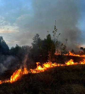 На Волині загасили дві пожежі: загорілося через необережне поводження з вогнем