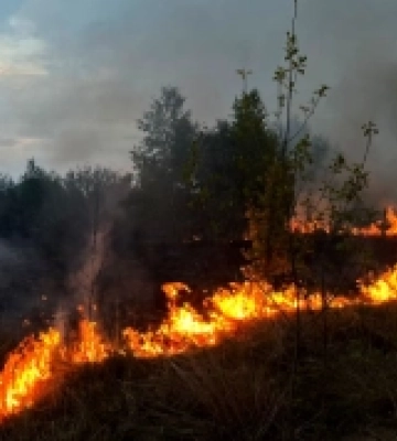 На Волині минулої доби рятувальники ліквідували дві пожежі на відкритих територіях
