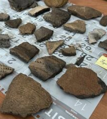 На околиці Котельви археологи знайшли ще одне скіфське поселення
