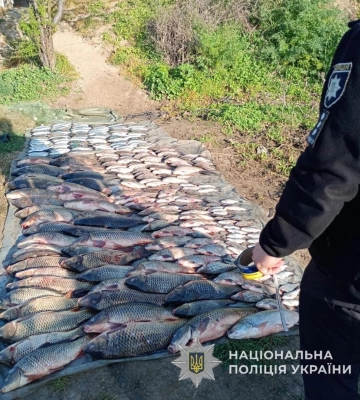 На Одещині браконьєри наловили риби на 700 тисяч гривень 
