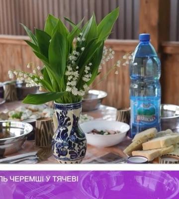 Перший фестиваль черемші у Тячеві (відео) Перший фестиваль черемші у Тячеві (відео)