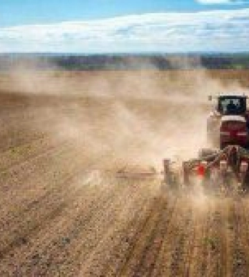 Аграрії засіяли вже 76 відсотків ярих зернових та зернобобових культур від прогнозованих площ