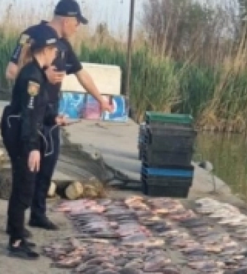 В Ізмаїльському районі на Одещині прикордонники затримали браконьєрів з уловом на 1,5 мільйона гривень