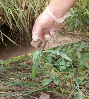 У Рівненському районі починається весняна кампанія з пероральної імунізації диких тварин проти сказу