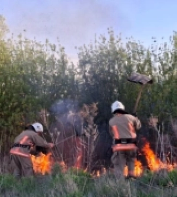 На Волині за день вигоріло понад шість гектарів сухостою