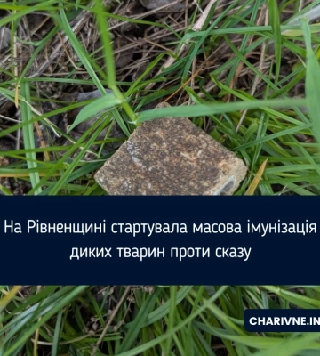 На Рівненщині стартувала масова імунізація диких тварин проти сказу