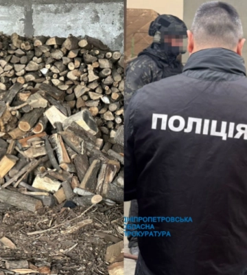 На Дніпропетровщині депутат зі спільниками незаконно вирубував ліси та заробив на цьому 1 млн грн